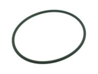 OEM Chevrolet Silverado 2500 HD Module Seal - 22682111