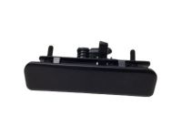 OEM GMC Handle Asm, Rear Door Outside - 12381253