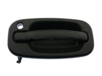 OEM 2005 Chevrolet Silverado 3500 Handle, Outside - 19356468