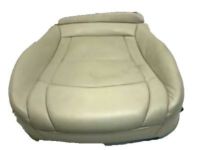 OEM 2004 Chevrolet Trailblazer EXT Pad, Driver Seat Cushion - 88949376