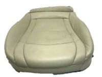 OEM 2004 Oldsmobile Bravada Pad, Driver Seat Cushion - 88949376