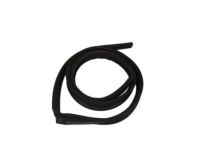 OEM Chevrolet Silverado 3500 Classic Drip Weatherstrip - 15054569
