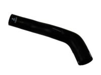 OEM 2009 Chevrolet Corvette Lower Hose - 19130608