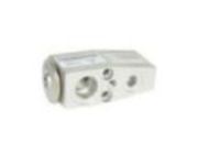 OEM Chevrolet Cruze Limited Expansion Valve - 13313727