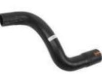 OEM Pontiac Lower Hose - 15835973