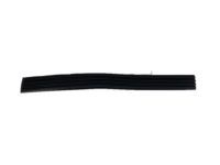 OEM GMC C1500 Body Side Molding - 15740121