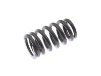 OEM 2016 Chevrolet Sonic Valve Springs - 55571551