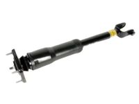 OEM 2009 Cadillac CTS Shock - 25884700