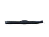 OEM Buick Regal Guide-Front Side Door Window Rear - 10180417