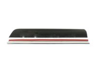 OEM Chevrolet Silverado 1500 Body Side Molding - 22760310