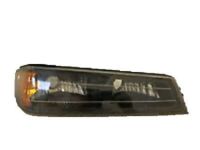 OEM 2012 GMC Canyon Park/Turn Lamp - 19418418