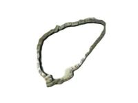 OEM Pontiac Chain, Camshaft Intermediate Drive - 12564274