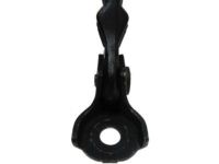 OEM 2012 Buick Verano Door Check - 13363546