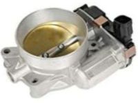 OEM 2010 Cadillac DTS Throttle Body - 12615495