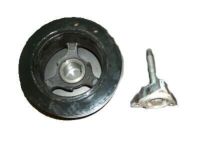 OEM Cadillac Insl Asm - 1646025