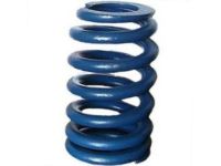 OEM Pontiac Montana Spring, Valve - 12599294