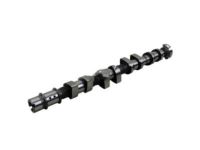 OEM 2009 Chevrolet Aveo Camshaft - 55561747