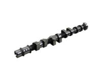 OEM Chevrolet Camshaft - 55561747