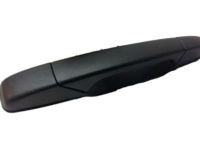OEM Chevrolet Avalanche Handle, Outside - 84053440