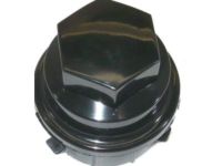 OEM Chevrolet Venture Wheel Nut Cap - 9594435