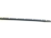 OEM 1996 Chevrolet Camaro Belt Weatherstrip - 10284223