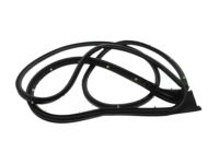 OEM GMC Terrain Lower Weatherstrip - 84769032