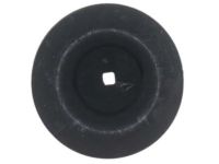 OEM Buick Lower Insulator - 15765071