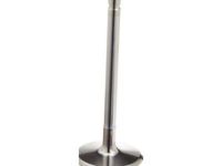 OEM Chevrolet Intake Valve - 12555331