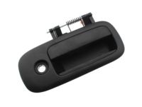 OEM Chevrolet Handle, Outside - 84084710