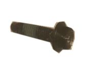 OEM Chevrolet Silverado 2500 HD Heat Shield Bolt - 11546600