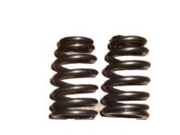 OEM Valve Springs - 12616671