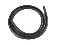 OEM Chevrolet Impala Limited Door Weatherstrip - 19260468