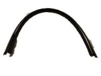 OEM Chevrolet Belt Weatherstrip - 20791101