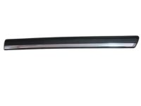 OEM Chevrolet Silverado 2500 Molding, Front Side Door - 15199305