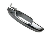 OEM Chevrolet Silverado 2500 HD Handle, Outside - 25960522