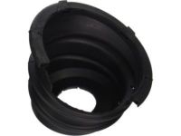 OEM Buick Rainier Fuel Pocket - 15244046