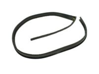 OEM 2012 GMC Sierra 1500 Drip Weatherstrip - 20816087