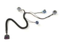 OEM 2007 Chevrolet Suburban 1500 Socket & Wire - 22787445