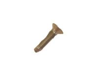 OEM 2002 Pontiac Aztek Lower Striker Screw - 11589019