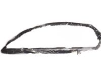 OEM 2016 Chevrolet Traverse Run Channel - 22751685