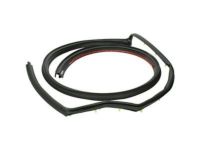 OEM 2015 Chevrolet Express 2500 Weatherstrip - 15126640