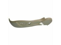 OEM Cadillac DTS Side Trim - 20954453