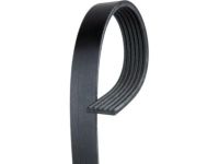 OEM 2004 Chevrolet S10 Fan Belt - 12576453