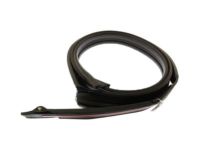 OEM 2008 Cadillac Escalade EXT Drip Weatherstrip - 20789464