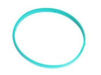 OEM Buick Gasket - 12576549