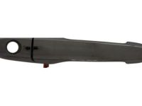 OEM 2007 Buick Lucerne Handle, Outside - 25947661