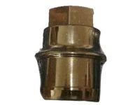 OEM 2021 Chevrolet Silverado 3500 HD Wheel Nut Cap - 9598895