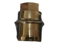 OEM GMC Sierra 2500 HD Wheel Nut Cap - 9598895