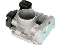 OEM 2008 Chevrolet Aveo Throttle Body - 25183237