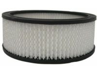 OEM Chevrolet V20 Filter - 6419892